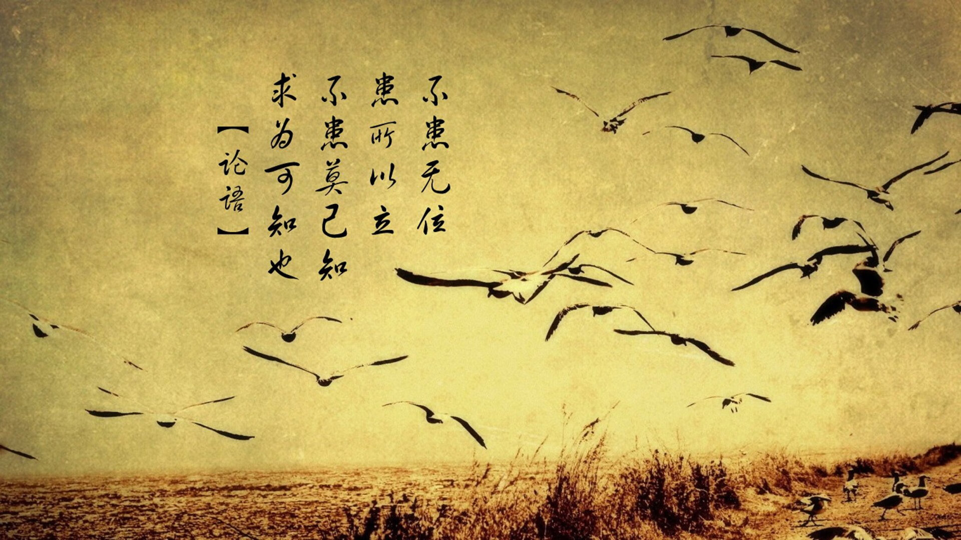 开云·体育官方网站入口-“足球+旅游+文化”融合产业研究院在行业内建立示范作用,融合文旅集团有限公司 开云·体育官方网站入口-“足球+旅游+文化”融合产业研究院在行业内建立示范作用,融合文旅集团有限公司