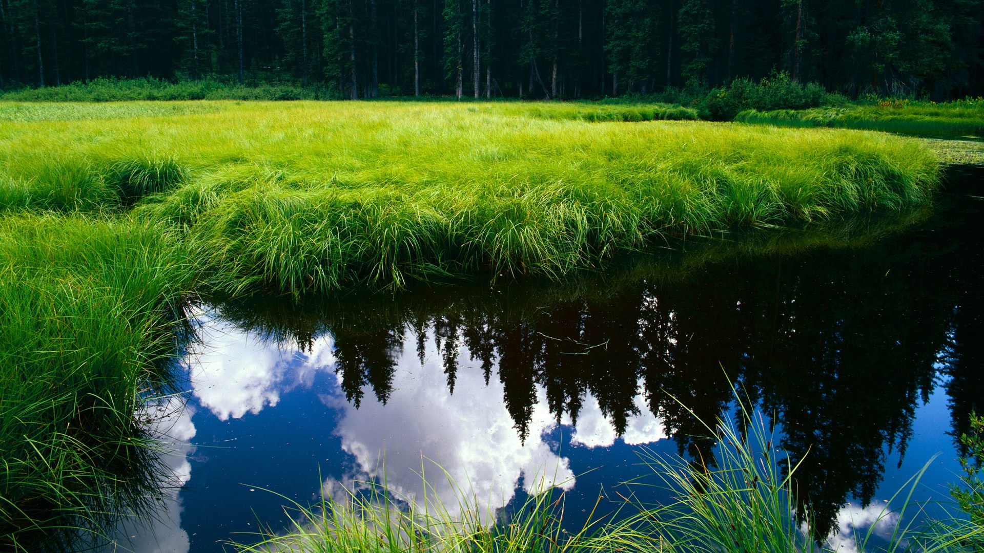 kaiyun 开云体育-《电竞行业融资:资本纷纷涌入“风口”》,电竞行业投资