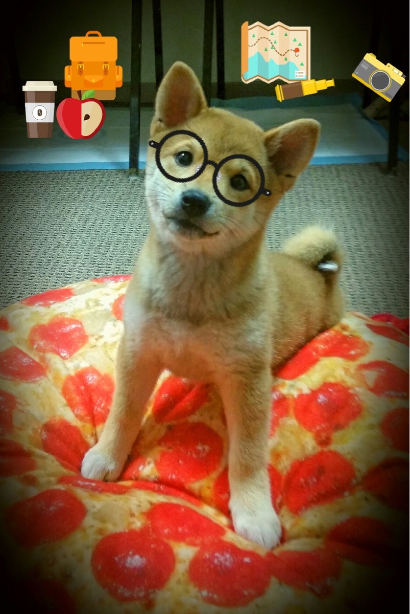 开云全站-国际射箭比赛，聚焦精准与稳定，国际射箭比赛,聚焦精准与稳定训练