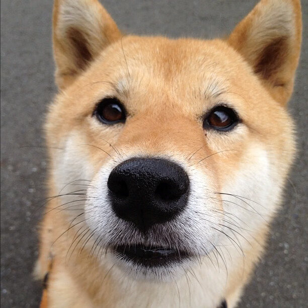 开云全站-国际射箭比赛,聚焦精准与稳定,国际射箭比赛,聚焦精准与稳定训练