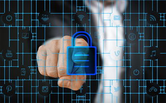 kaiyun体育综合-青少年体适能教学标准执行效果调查,青少年体适能教学大纲